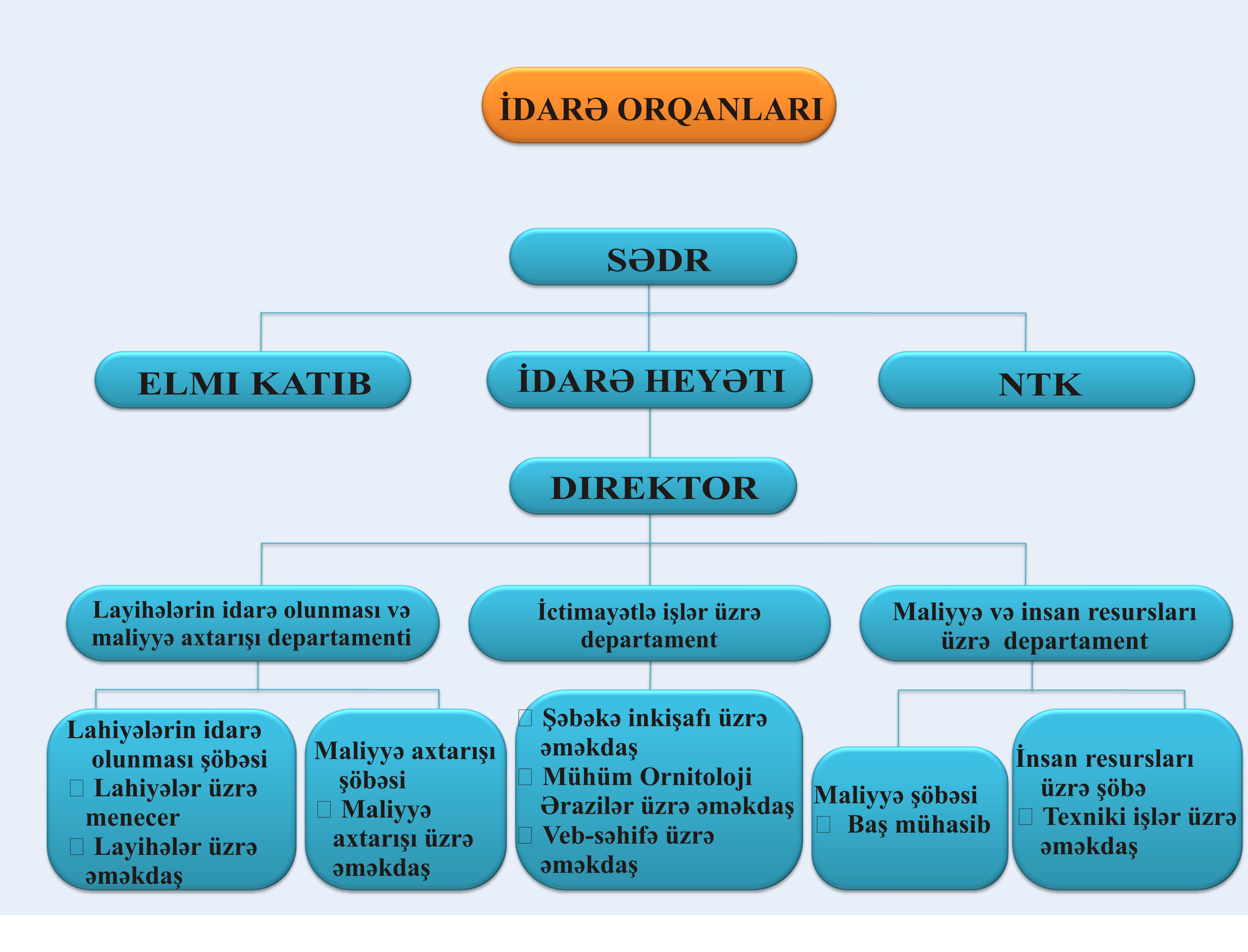 Graphic1