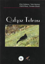 QAFQAZ TETRASI