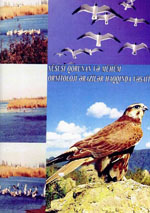 XÜSUSİ QORUNAN MÜHÜM ORNİTOLOJİ ƏRAZİLƏR HAQQINDA VƏSAİT