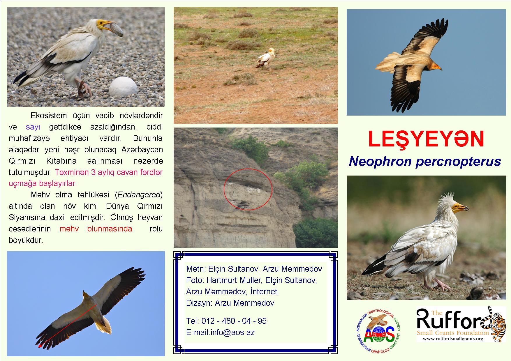 EV liflet-Arzu-F