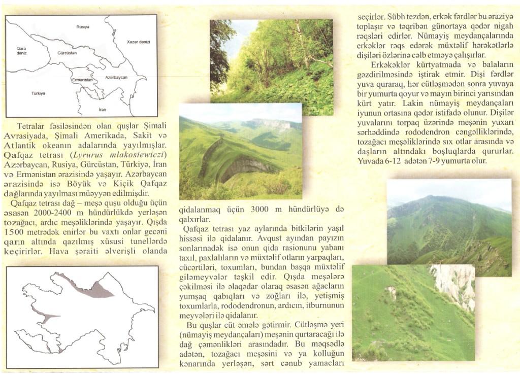 annex 2-leaflet 02