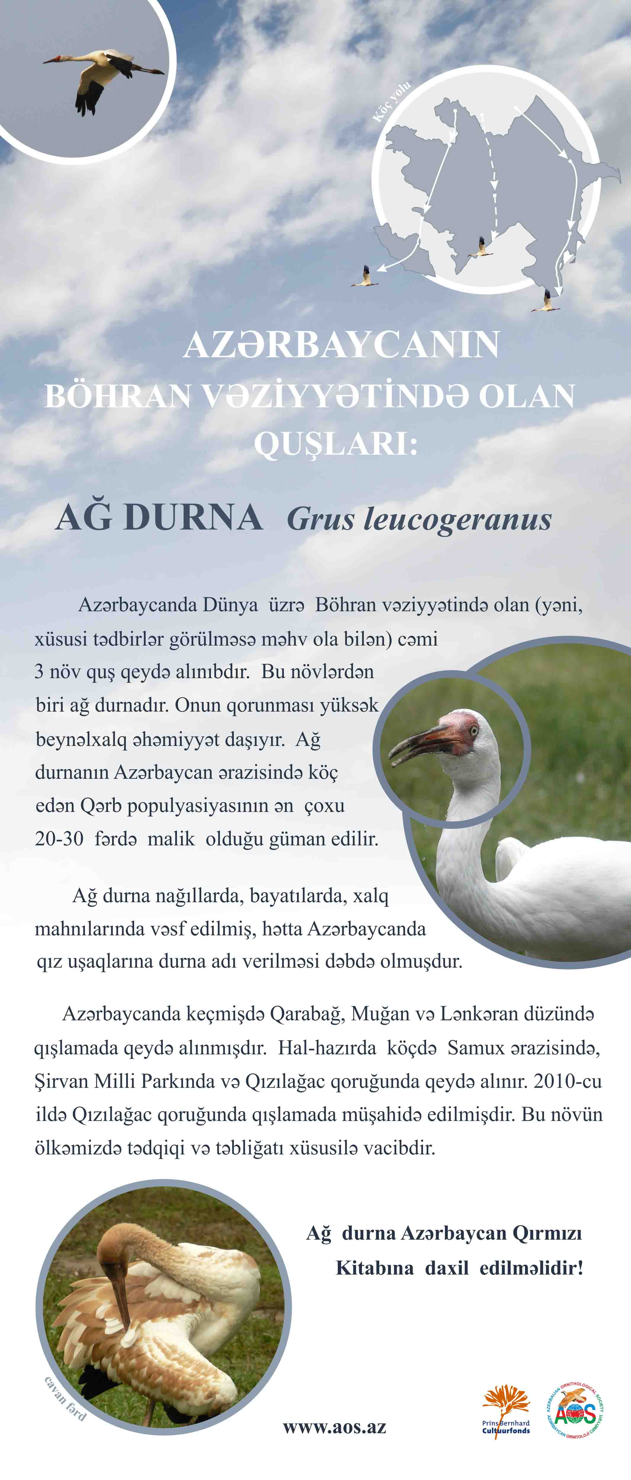 banner -Ag durna - 85 -2 m1