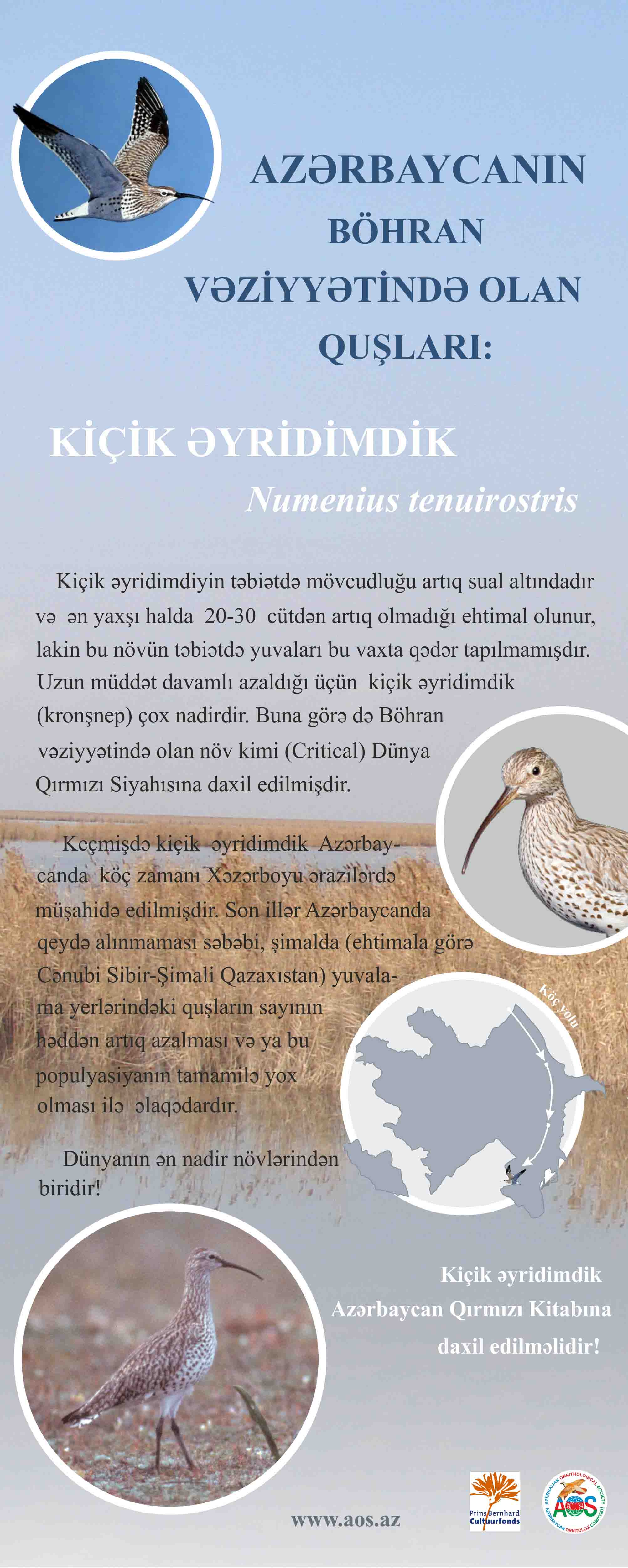 banner -Kichik eyridimdik - 80 -2m1