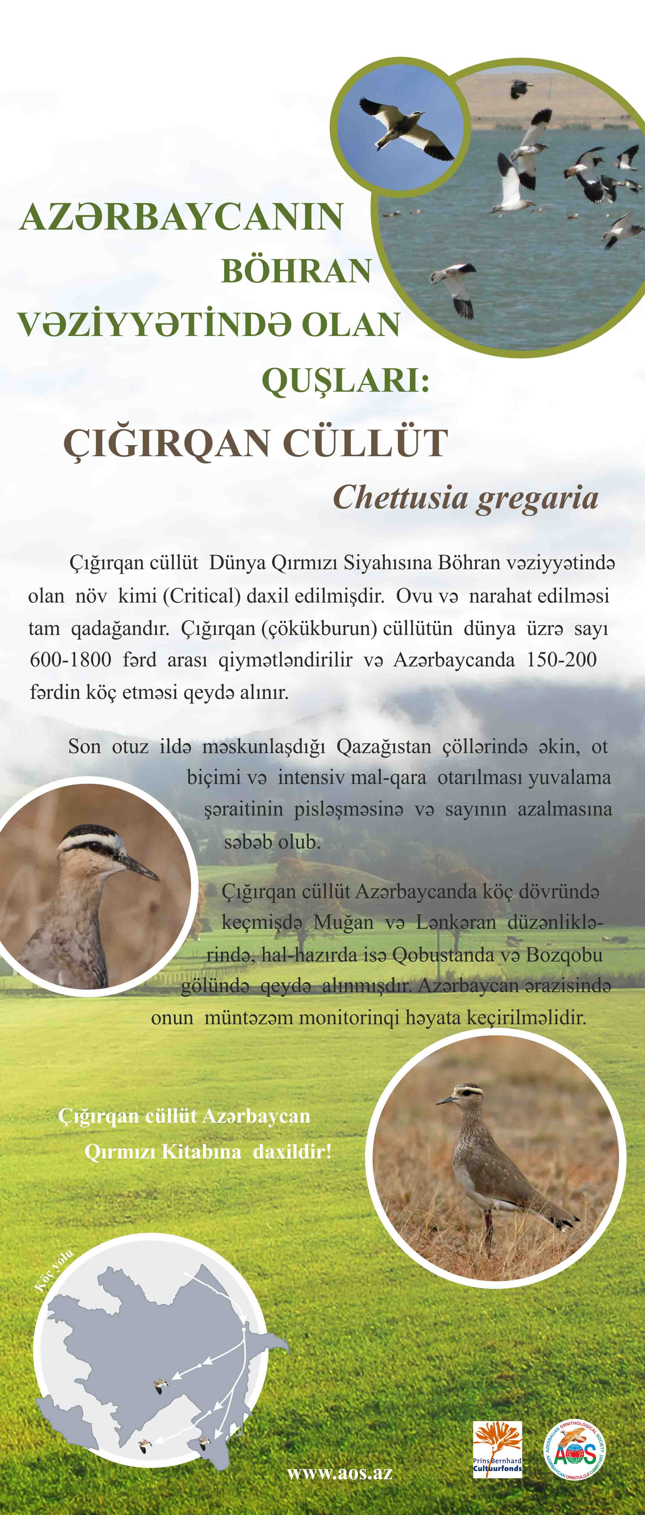 banner - Chigirgan cullut - 85 -2m1