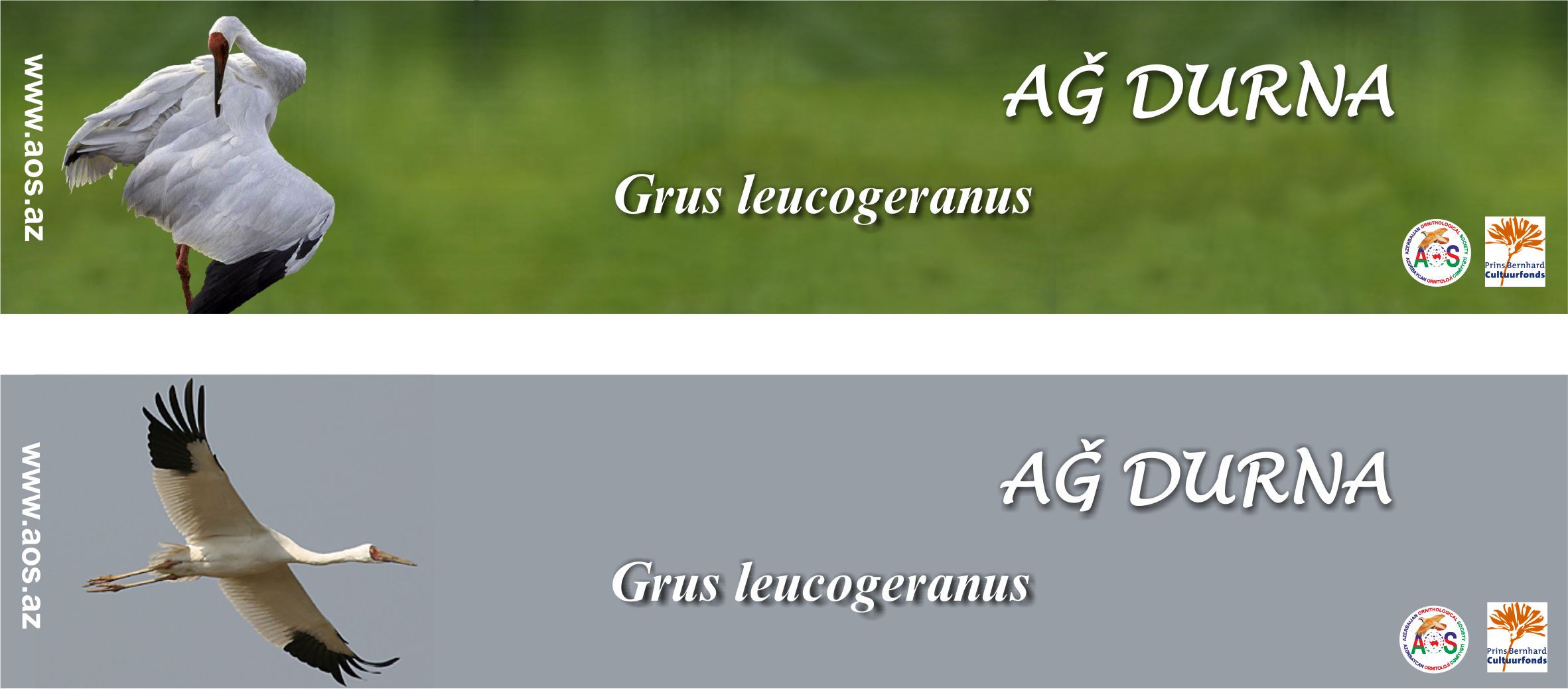 insert- ag durna