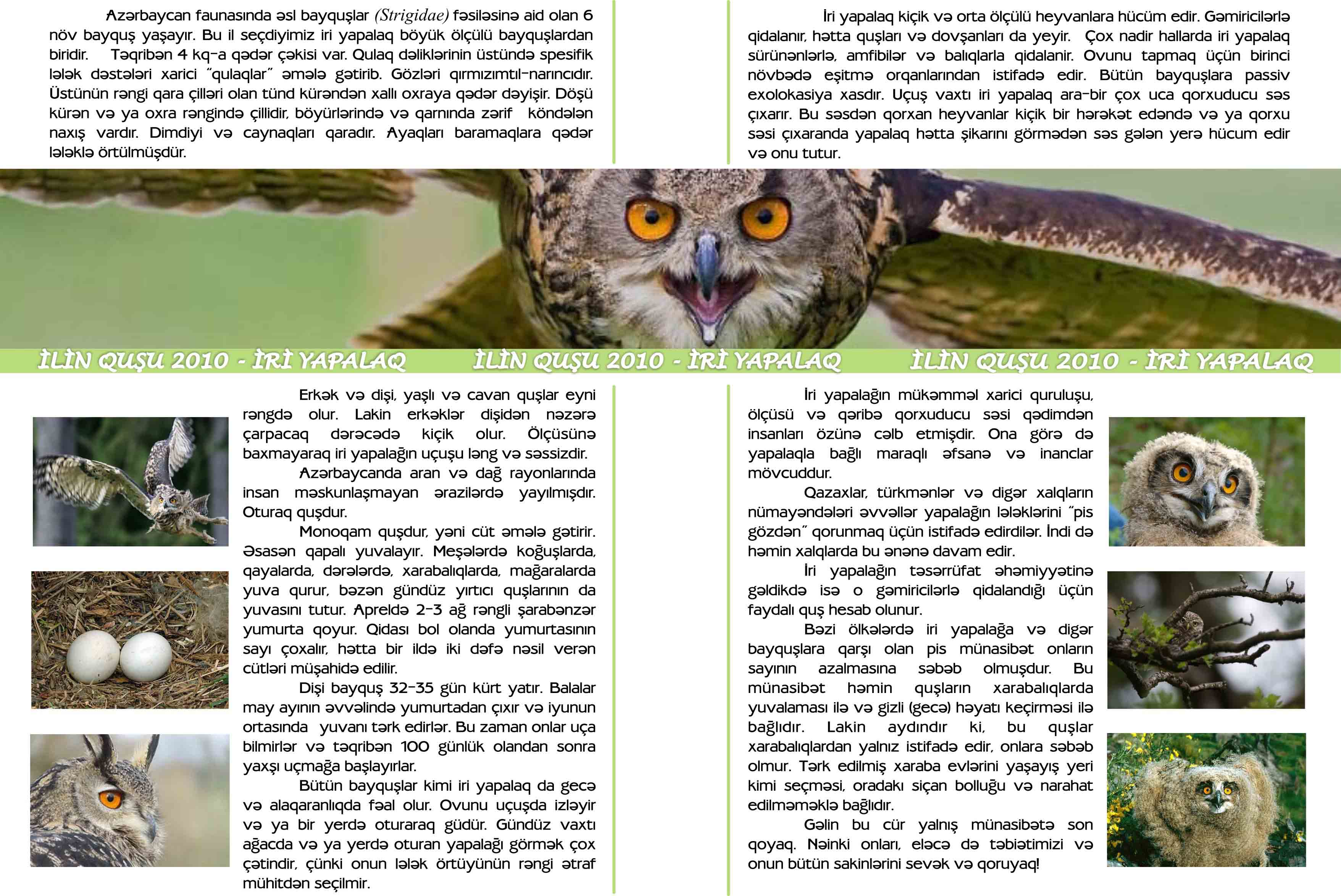 leaflet -page2