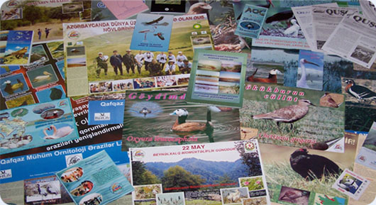 publications