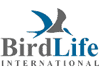 birdlife