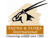ffi